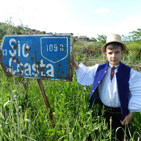 Csipkeszeg Bed & Breakfast Sic / Szek Romania Екстериор снимка