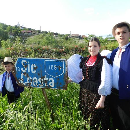 Csipkeszeg Bed & Breakfast Sic / Szek Romania Екстериор снимка