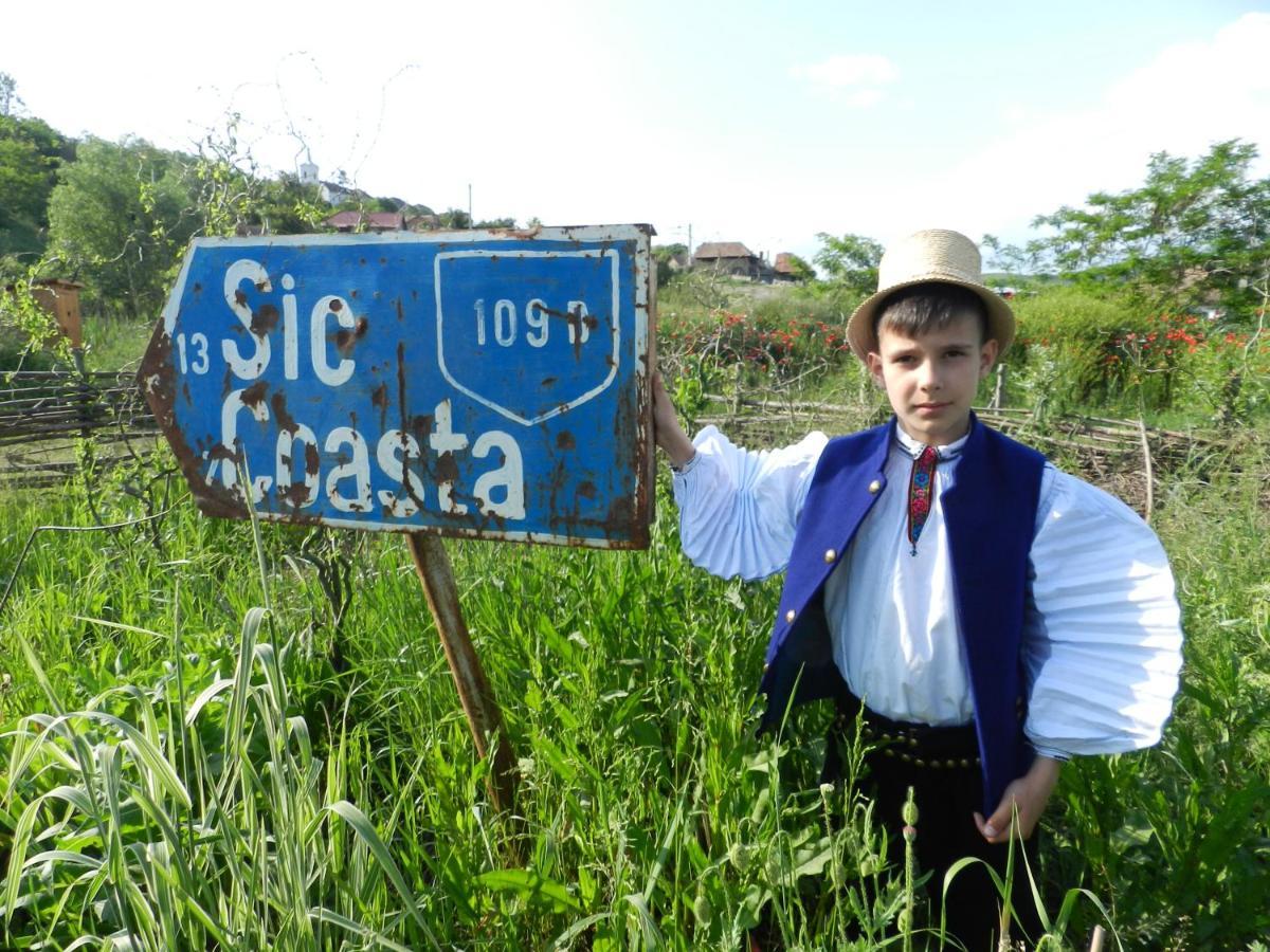 Csipkeszeg Bed & Breakfast Sic / Szek Romania Екстериор снимка
