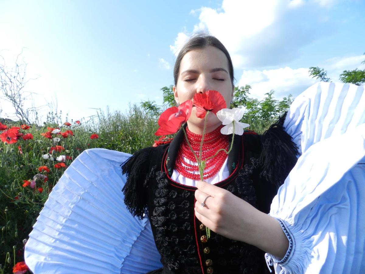 Csipkeszeg Bed & Breakfast Sic / Szek Romania Екстериор снимка