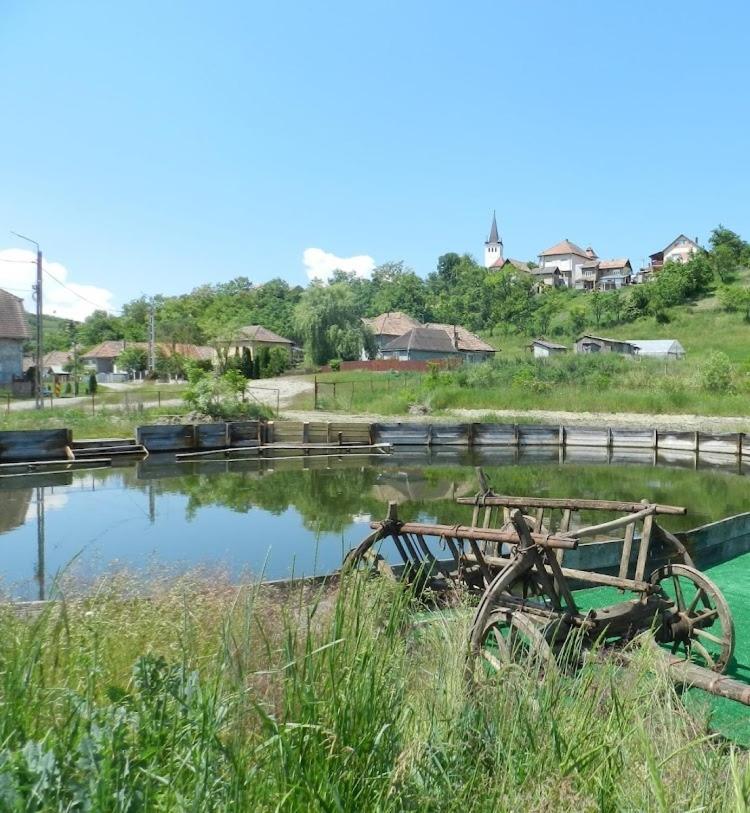 Csipkeszeg Bed & Breakfast Sic / Szek Romania Екстериор снимка