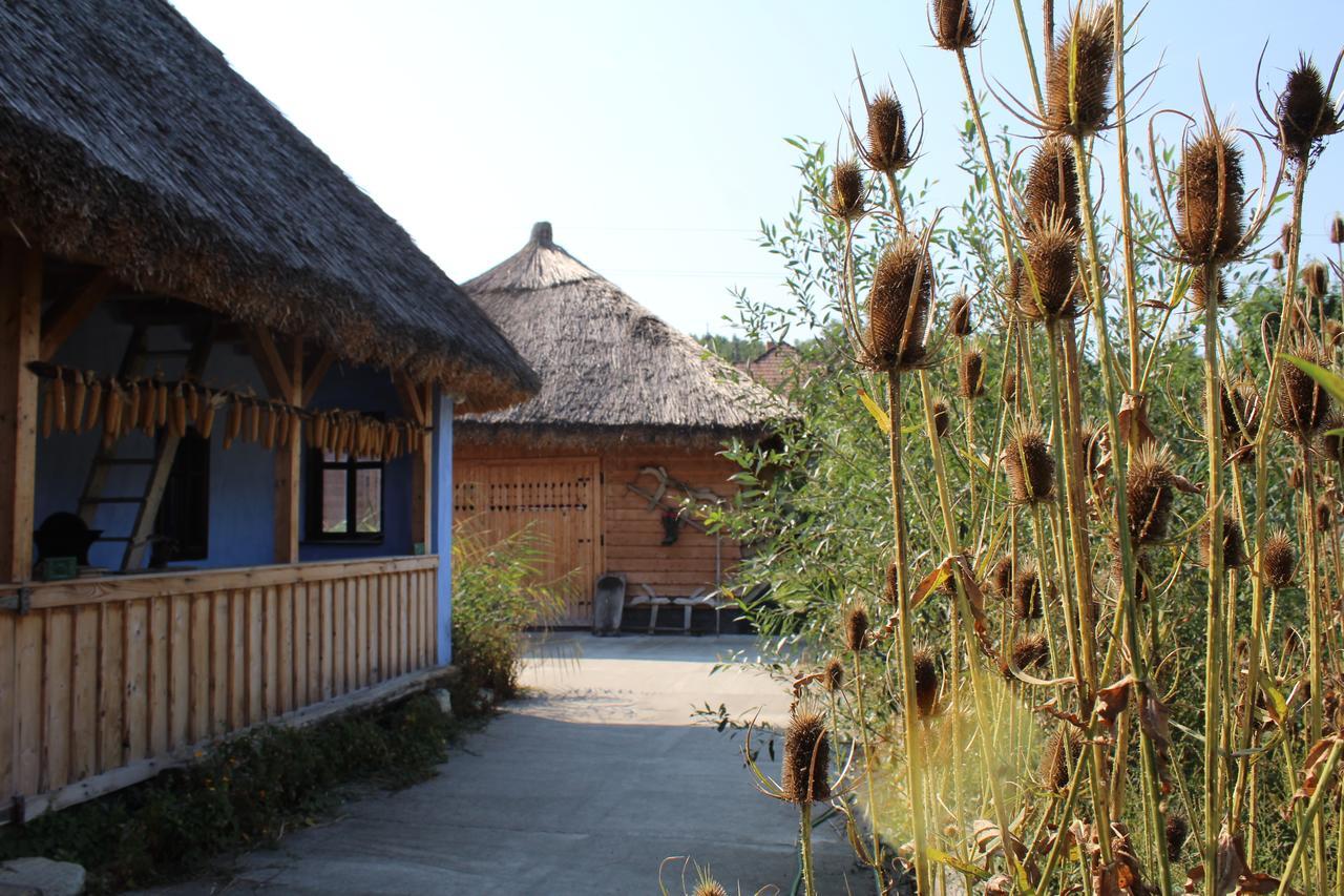 Csipkeszeg Bed & Breakfast Sic / Szek Romania Екстериор снимка