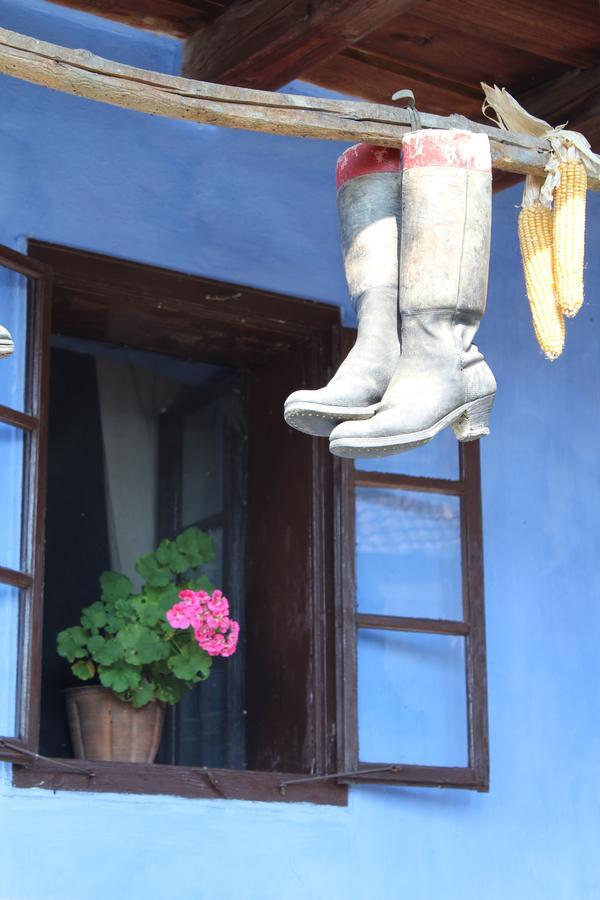 Csipkeszeg Bed & Breakfast Sic / Szek Romania Екстериор снимка