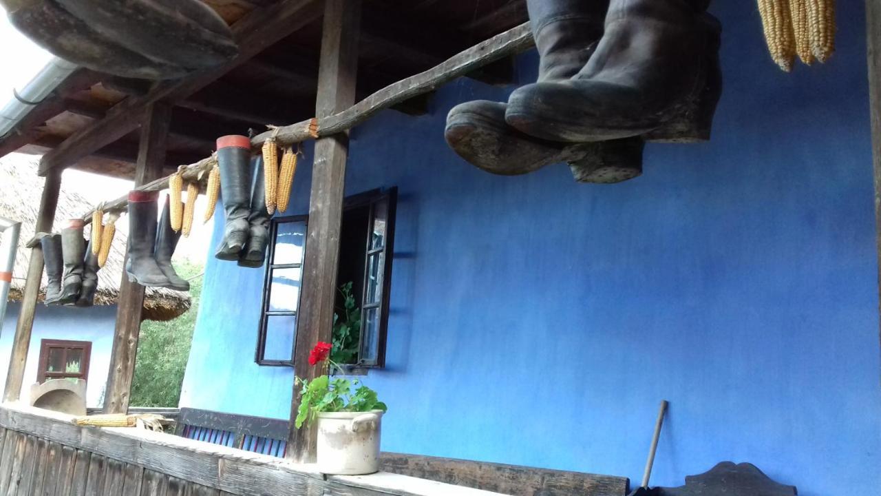 Csipkeszeg Bed & Breakfast Sic / Szek Romania Екстериор снимка